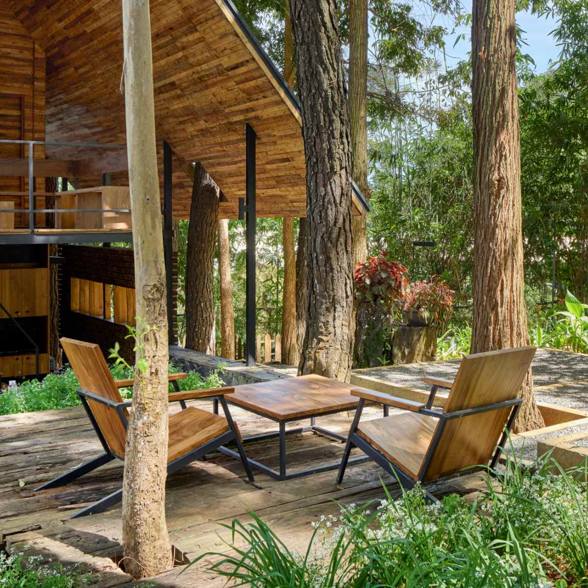 Terrace among the pines at KAYA Retreat, a quiet spot to watch birds with a coffee